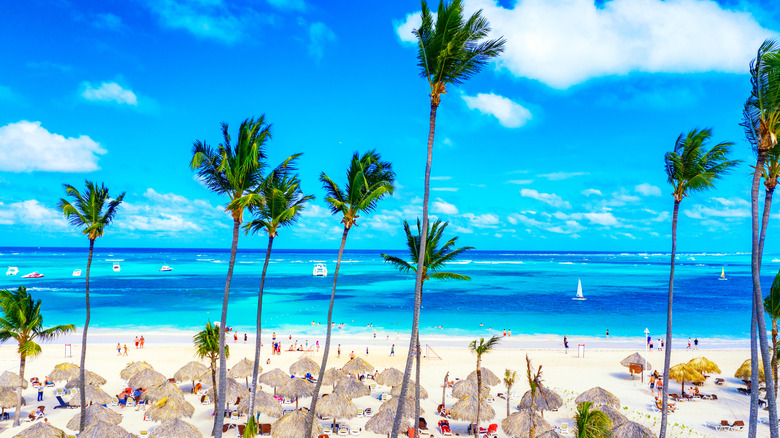 Aerial view of Punta Cana 