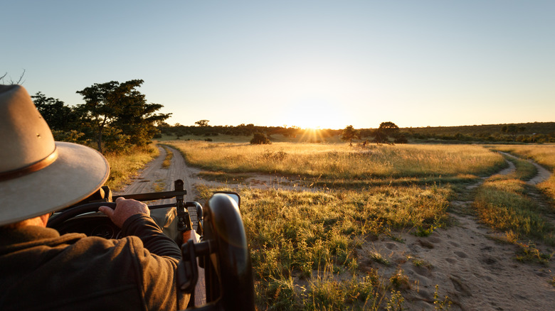 Safari in Sabi Sands Reserve