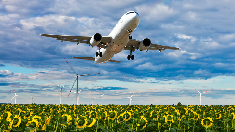 airplane flying over field