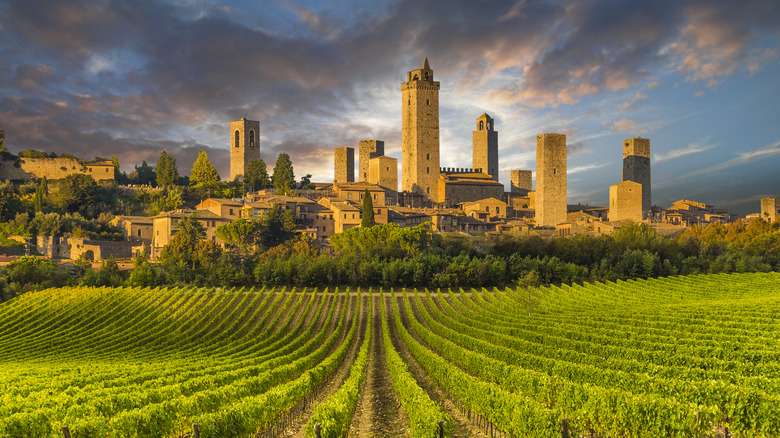 Wine tasting in Italy 