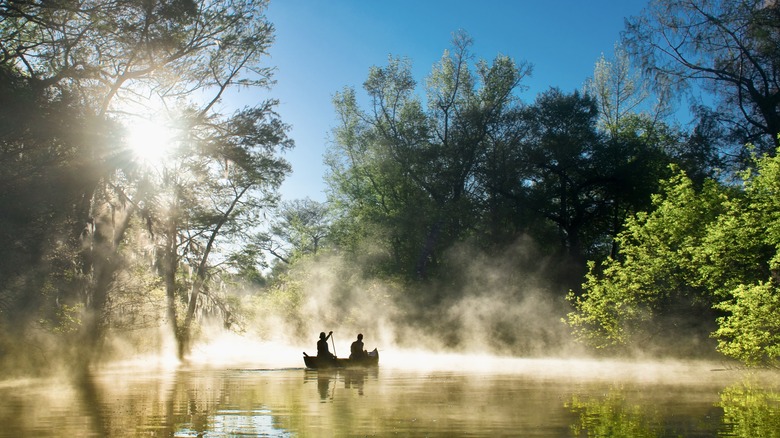 people boat trees lake