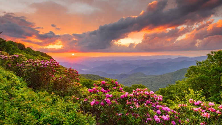 blue ridge parkway mountains