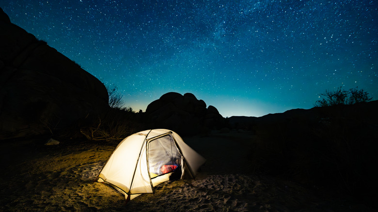 night camping at Joshua Tree