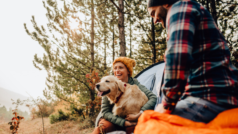 Dog on camping trip