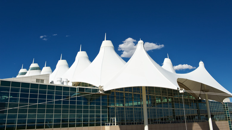 Denver Airport Blue Horse Mustang