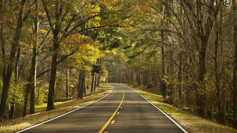 Natchez Trace Parkway in fall