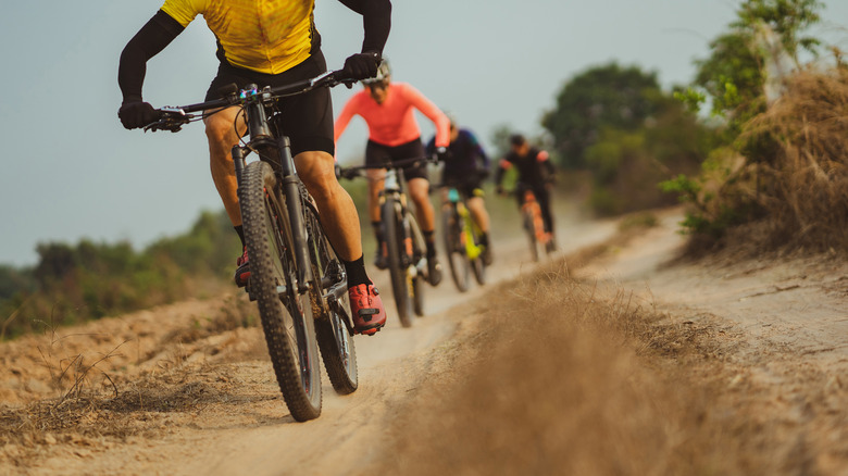 Mountain bikers on a path