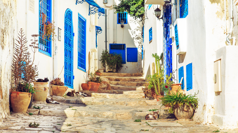 Streets of Sidi Bou Said