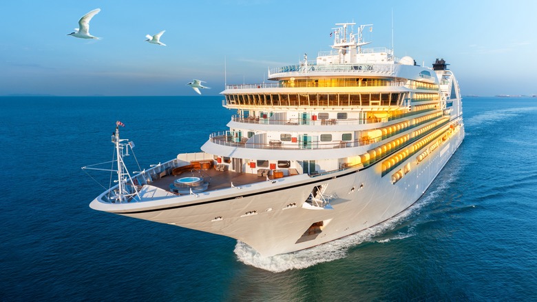 Cruise ship with seagulls flying