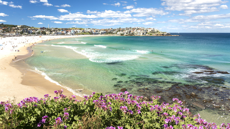 panoramic view of bondi beach