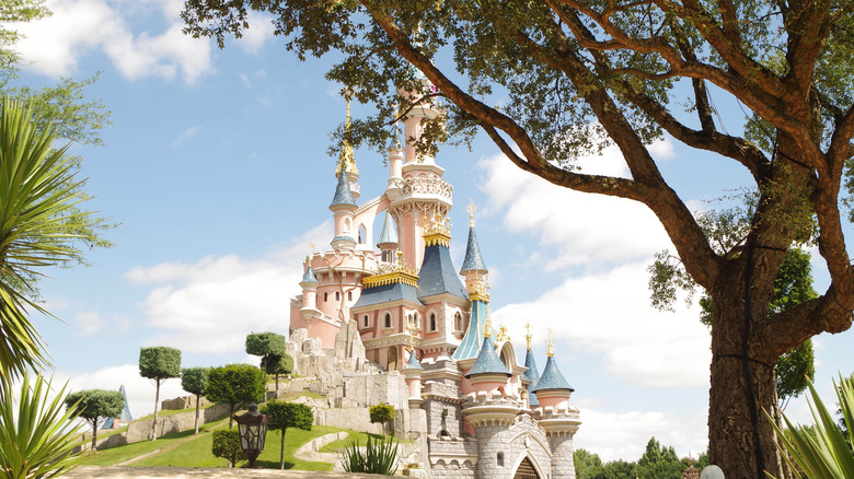 Castle in Disneyland Paris