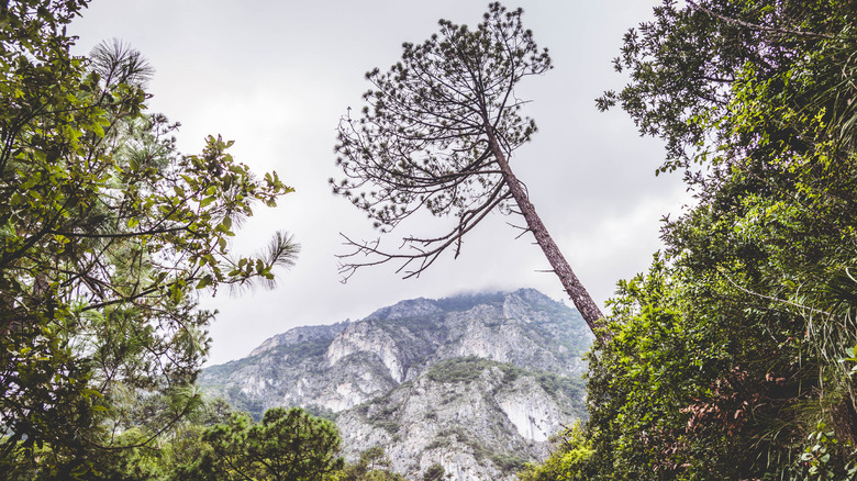 Mountain views in Chipinque Park