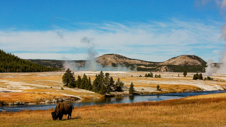 View of Yellowstone National Park