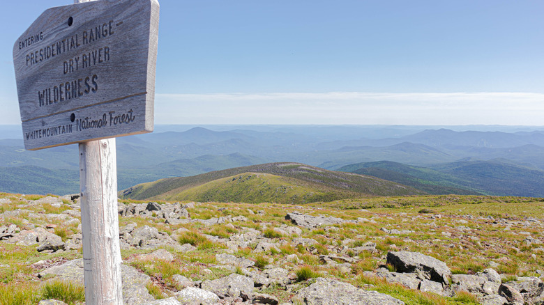 White Mountain National Forest