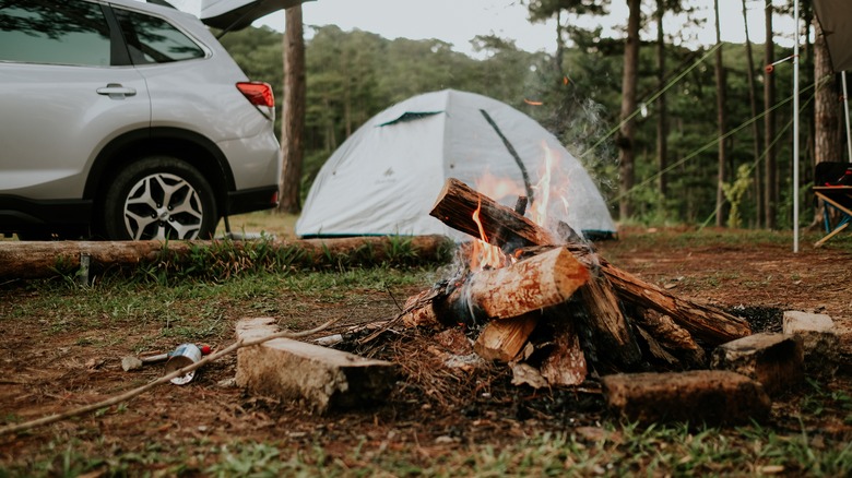 Campfire, tent in background