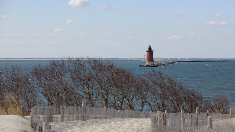 Lighthouse in Cape Henlopen Park