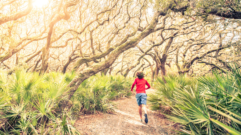 person running on Cumberland Island