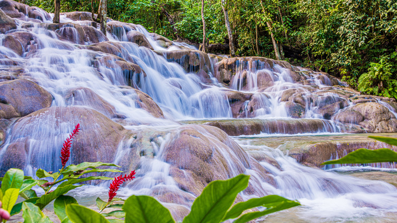 Dunn's River Falls, Jamaica