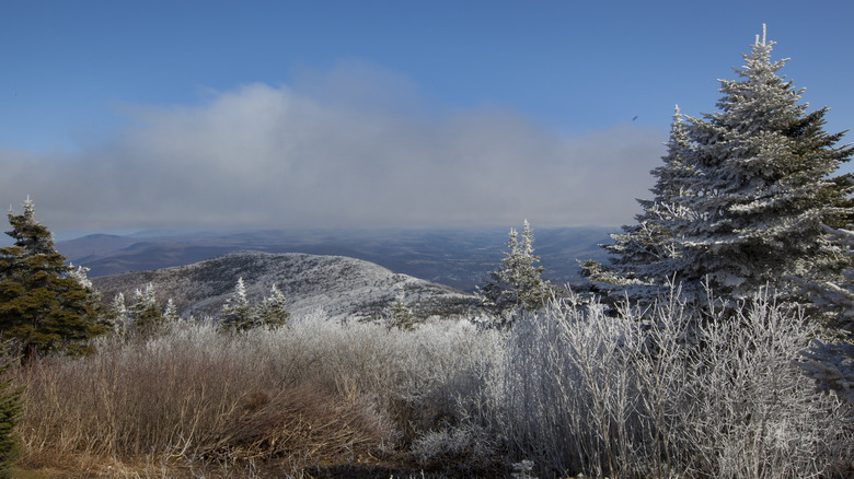 The summit of Mount Greylock