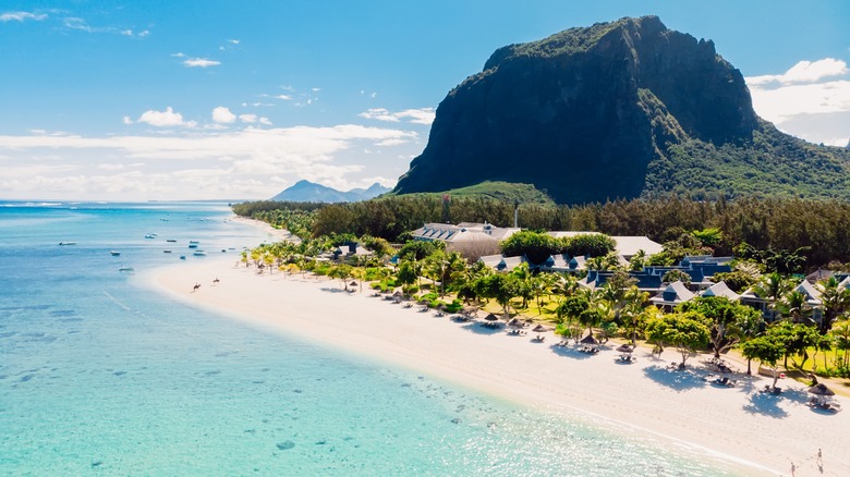 Aerial view of beach and mountain