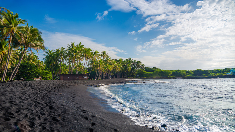 Punalu'u Black Sand Beach