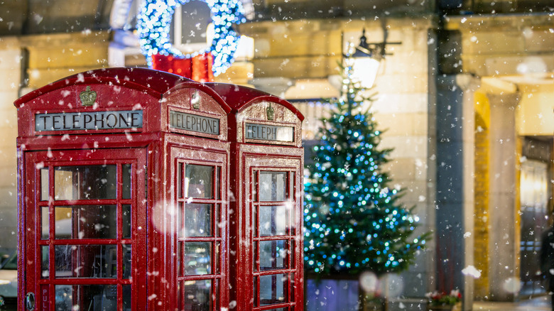 London phone boxes and tree 