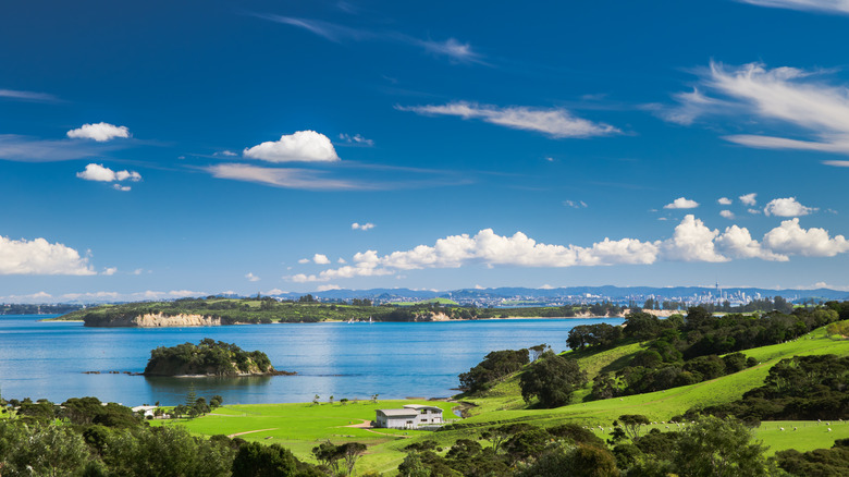 view from waiheke island