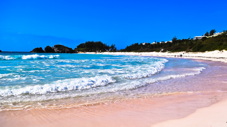 horseshoe beach bermuda