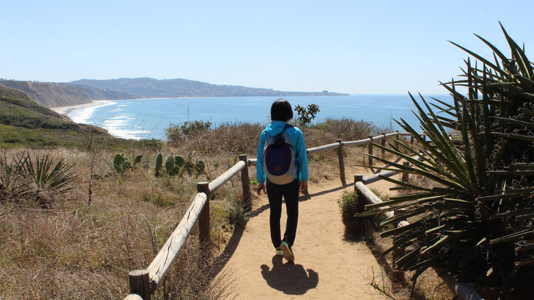 hiking at Torrey Pines State Natural Reserve