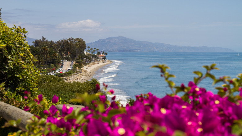 Bougainvillea framing view of the Pacific coastline