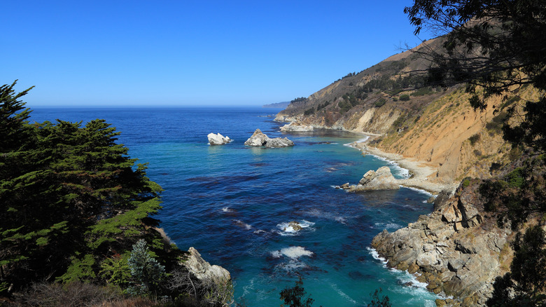 Coastal view of Julia Pfeiffer Burns State Park