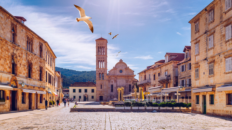 Gull flies in Hvar main square