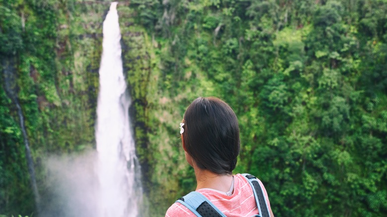 Overlooking Akaka Falls State Park