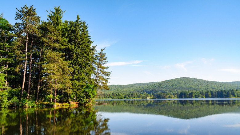 Allegany State Park