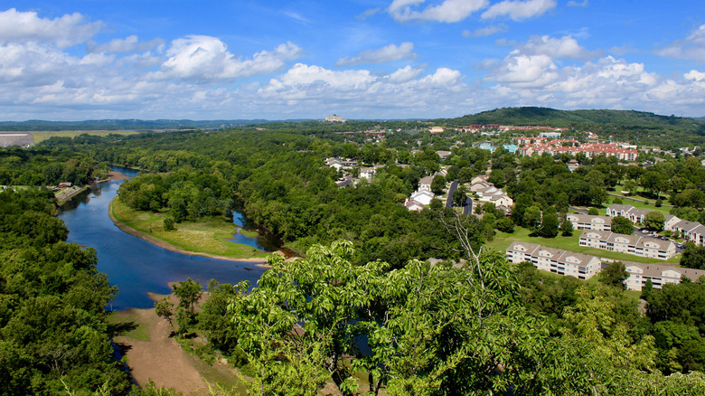 Branson lake and trees