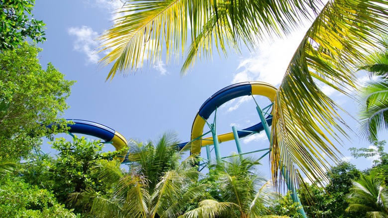 Waterslide and tropical greenery