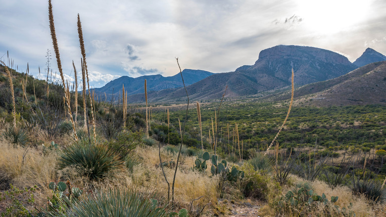 Kartchner Caverns State Park panoramic view