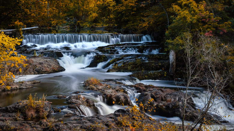 Waterfall in Madam Brett Park