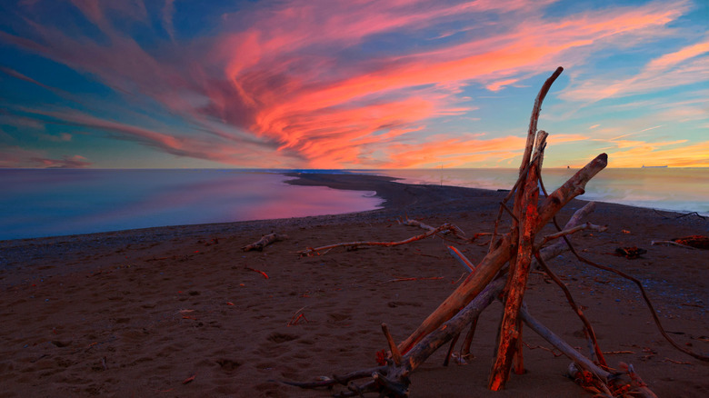 Point Pelee in Lake Erie at sunset