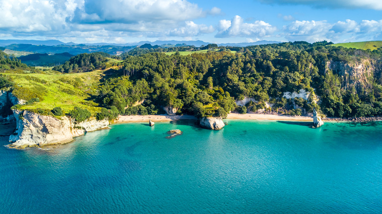 Coromandel, New Zealand