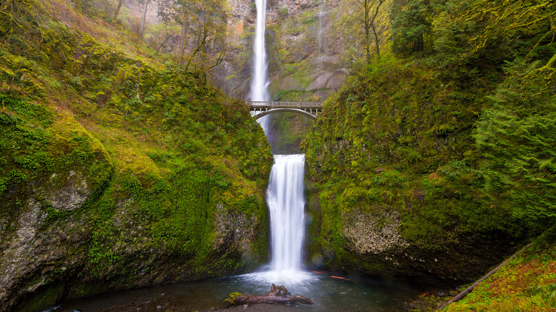 Front view of Multnomah Falls