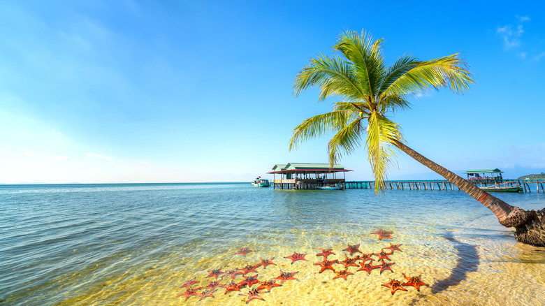 Starfish Beach in Phu Quoc