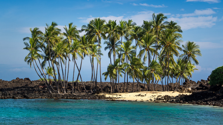 Panoramic view of Makalawena Beach