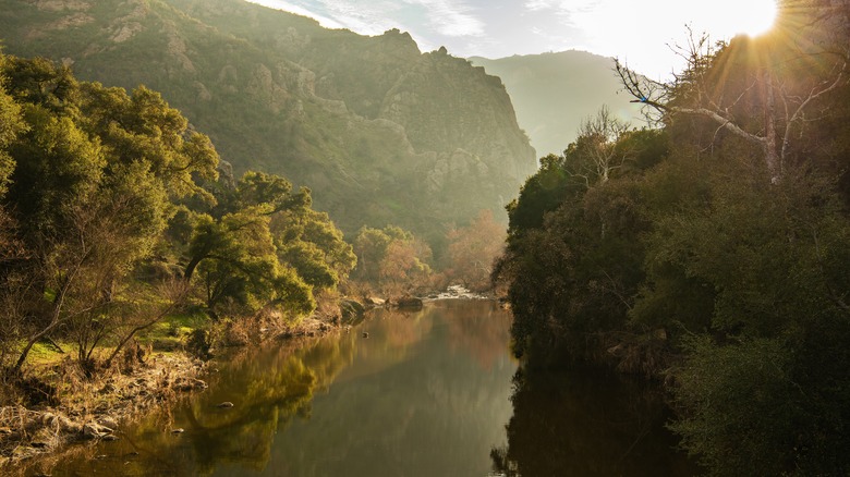 Malibu Creek at sunrise