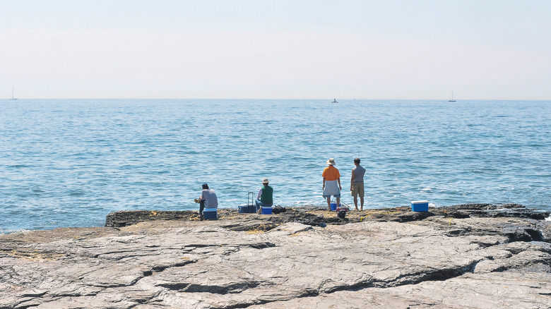 People visiting Brenton Point State Park