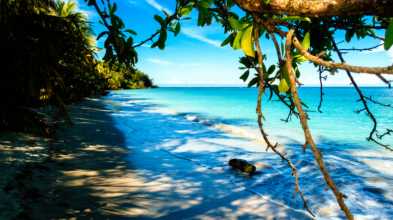 Cahuita National Park, Costa Rica