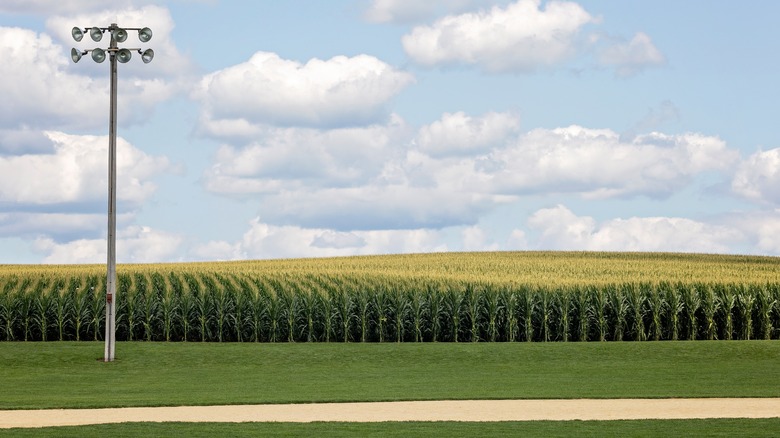 Field of Dreams Movie Site