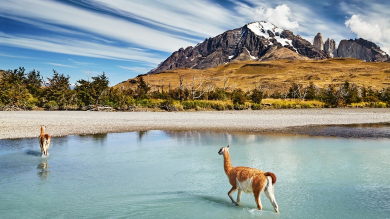 Torres del Paine, Chile