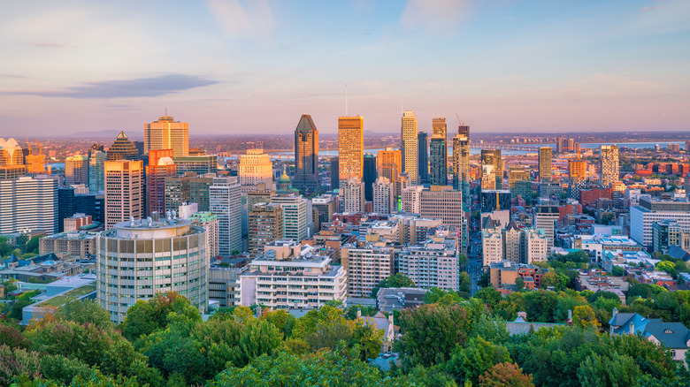 Sunset views from Mount Royal