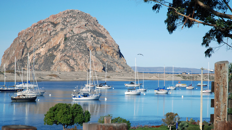 Boats near Morro Rock